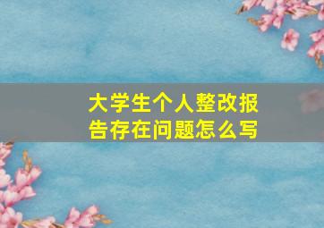 大学生个人整改报告存在问题怎么写