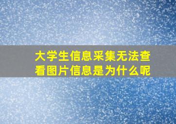 大学生信息采集无法查看图片信息是为什么呢