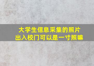 大学生信息采集的照片出入校门可以是一寸照嘛