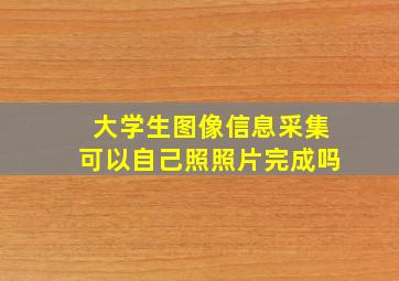 大学生图像信息采集可以自己照照片完成吗