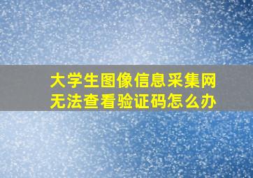 大学生图像信息采集网无法查看验证码怎么办