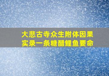 大悲古寺众生附体因果实录一条糖醋鲤鱼要命