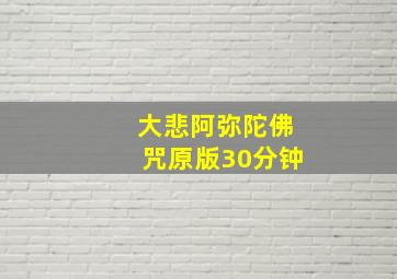 大悲阿弥陀佛咒原版30分钟