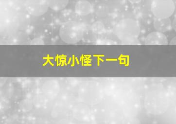 大惊小怪下一句