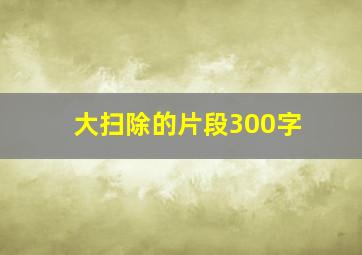 大扫除的片段300字