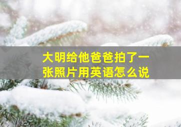 大明给他爸爸拍了一张照片用英语怎么说