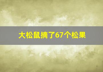 大松鼠摘了67个松果