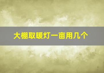 大棚取暖灯一亩用几个