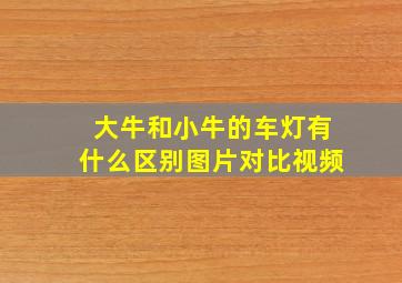 大牛和小牛的车灯有什么区别图片对比视频