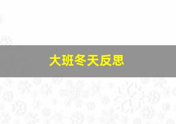 大班冬天反思