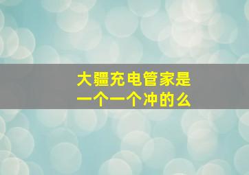 大疆充电管家是一个一个冲的么