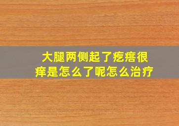 大腿两侧起了疙瘩很痒是怎么了呢怎么治疗