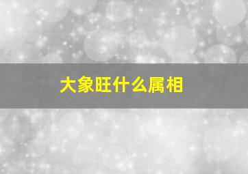 大象旺什么属相