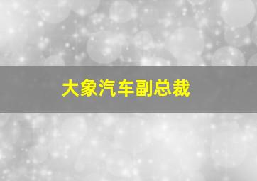 大象汽车副总裁