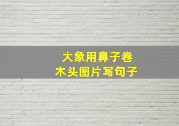 大象用鼻子卷木头图片写句子