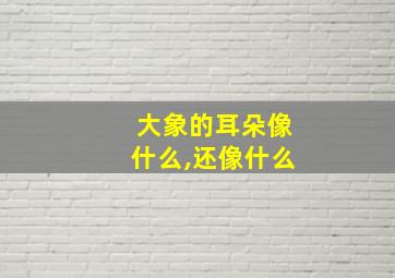 大象的耳朵像什么,还像什么