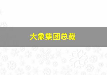 大象集团总裁