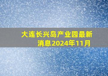 大连长兴岛产业园最新消息2024年11月