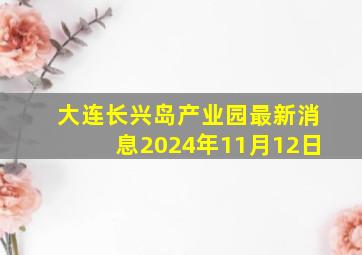 大连长兴岛产业园最新消息2024年11月12日