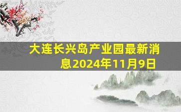 大连长兴岛产业园最新消息2024年11月9日