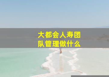 大都会人寿团队管理做什么