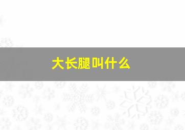 大长腿叫什么