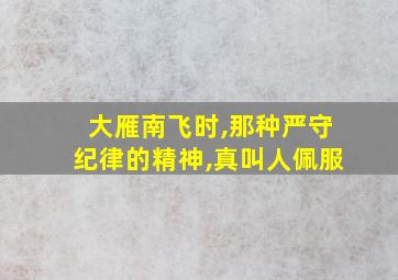 大雁南飞时,那种严守纪律的精神,真叫人佩服