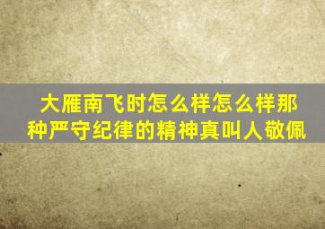 大雁南飞时怎么样怎么样那种严守纪律的精神真叫人敬佩