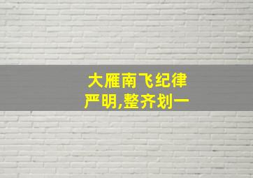 大雁南飞纪律严明,整齐划一