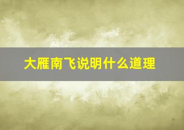 大雁南飞说明什么道理