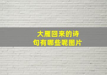 大雁回来的诗句有哪些呢图片