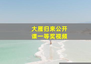 大雁归来公开课一等奖视频