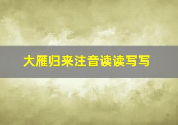 大雁归来注音读读写写