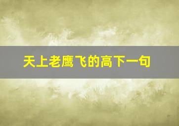 天上老鹰飞的高下一句