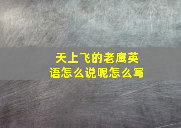 天上飞的老鹰英语怎么说呢怎么写