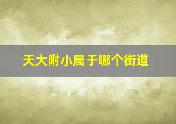 天大附小属于哪个街道