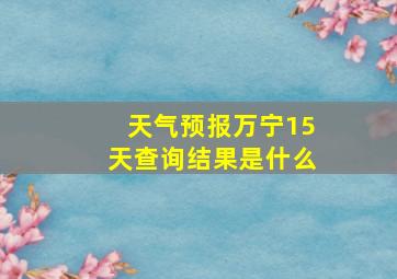 天气预报万宁15天查询结果是什么