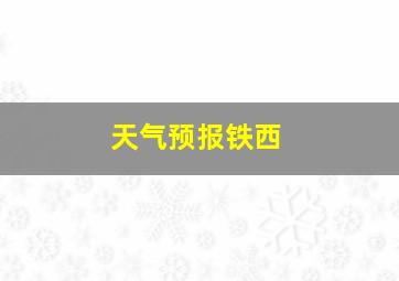 天气预报铁西