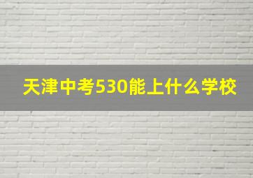 天津中考530能上什么学校