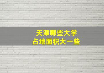 天津哪些大学占地面积大一些