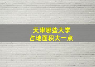 天津哪些大学占地面积大一点