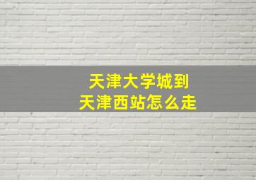 天津大学城到天津西站怎么走