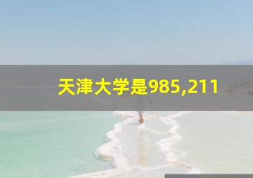 天津大学是985,211