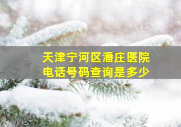 天津宁河区潘庄医院电话号码查询是多少