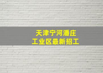 天津宁河潘庄工业区最新招工