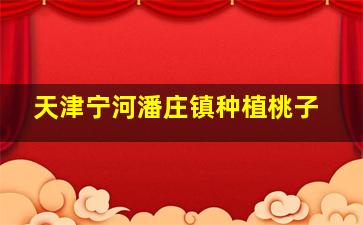 天津宁河潘庄镇种植桃子