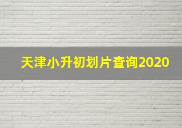 天津小升初划片查询2020