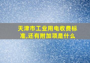 天津市工业用电收费标准,还有附加项是什么