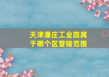 天津潘庄工业园属于哪个区管辖范围