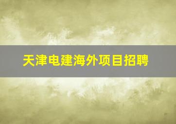 天津电建海外项目招聘